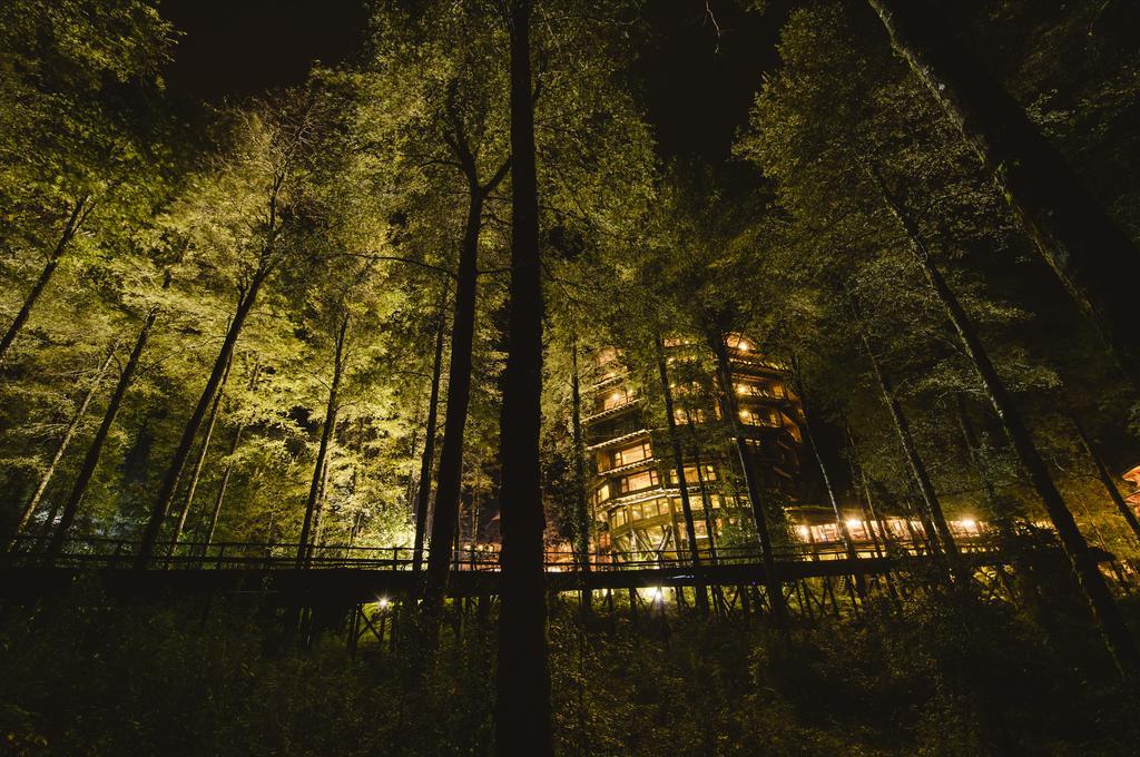 Huilo Huilo Nothofagus Hotel & Spa Puerto Fuy Exterior foto